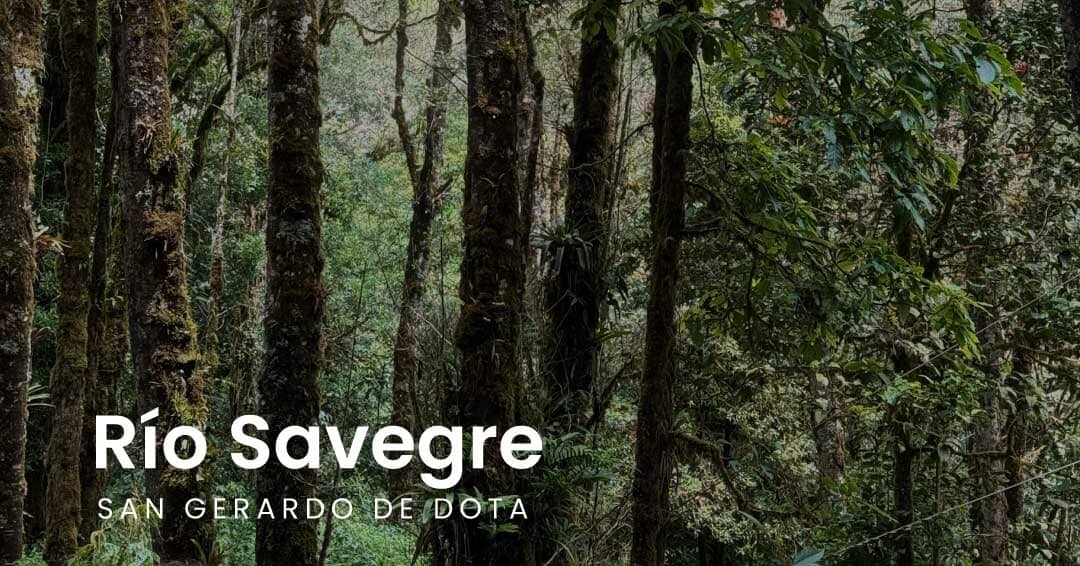 Catarata Río Savegre - San Gerardo de Dota
