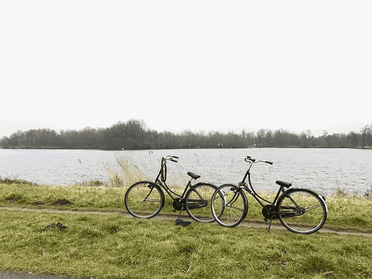 Molinos de Viento en Holanda en Bicicleta