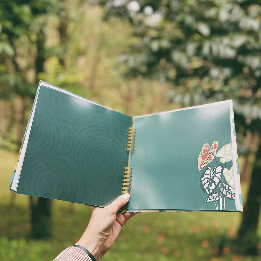 Álbum de fotos - Aventuras por Costa Rica Álbum La Fiebre de Viajar