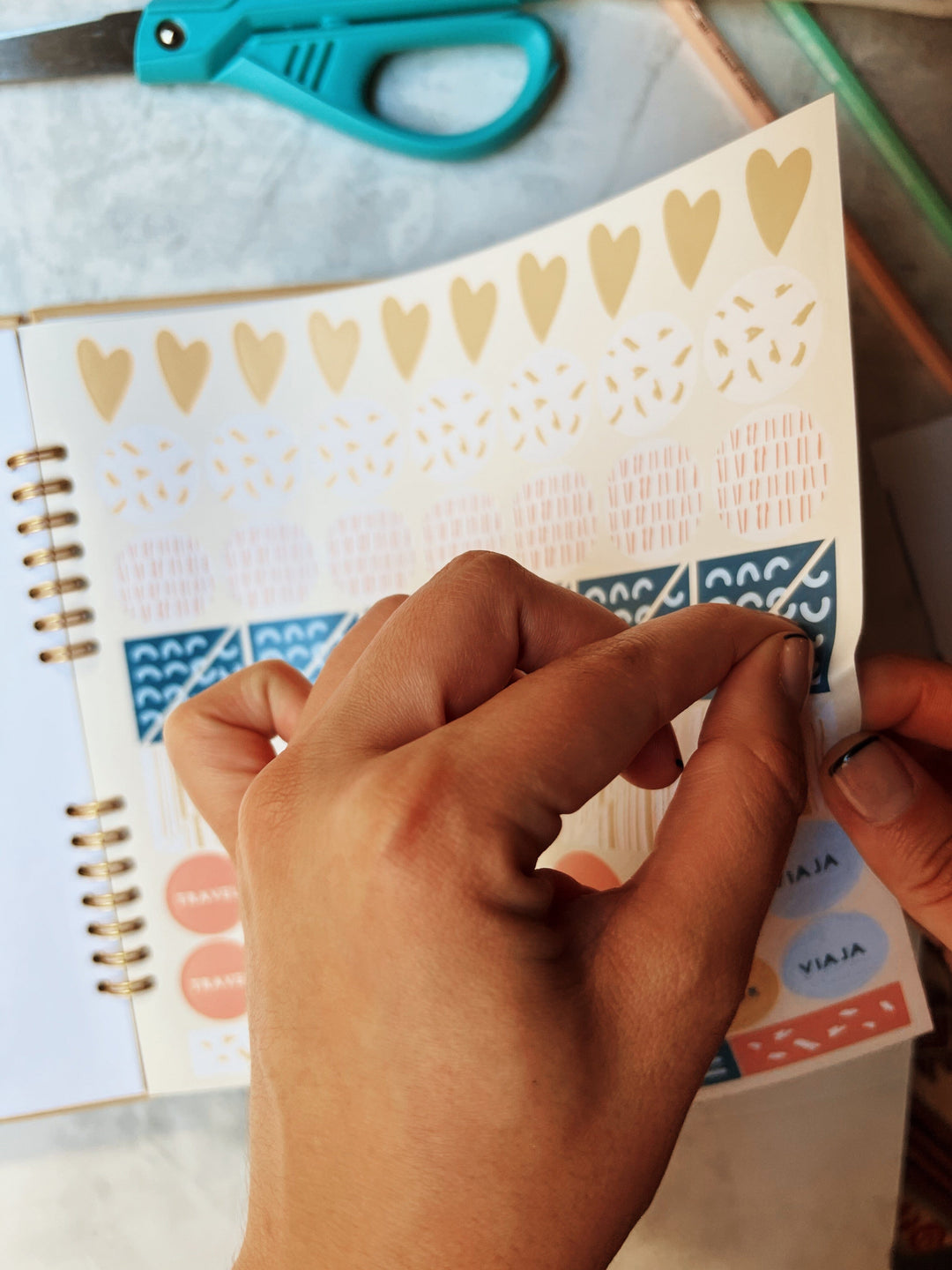 Álbum de fotos • Nuestras Aventuras La Fiebre de Viajar