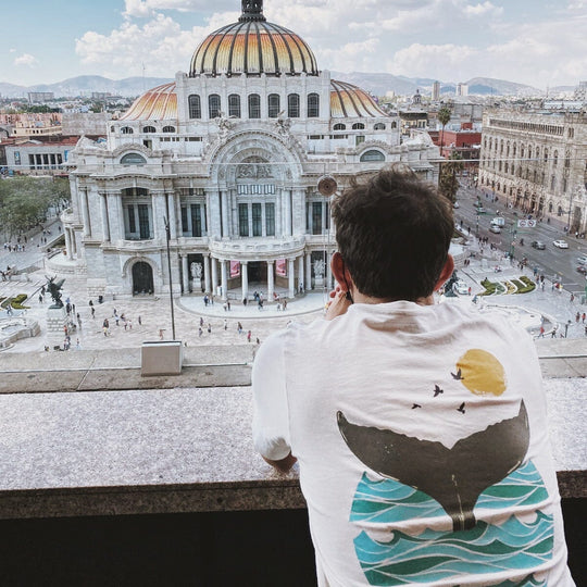 Ballena • Camisa Camisa La Fiebre de Viajar