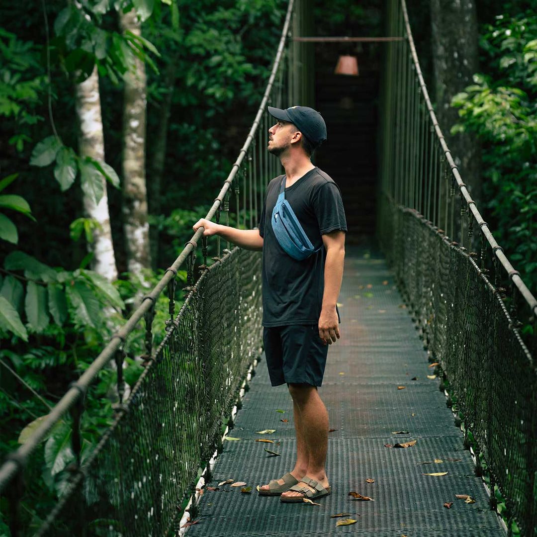 Canguro La Fiebre de Viajar