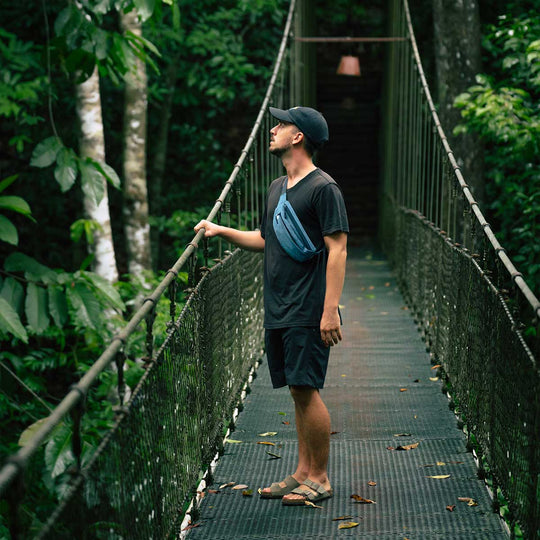 Canguro La Fiebre de Viajar