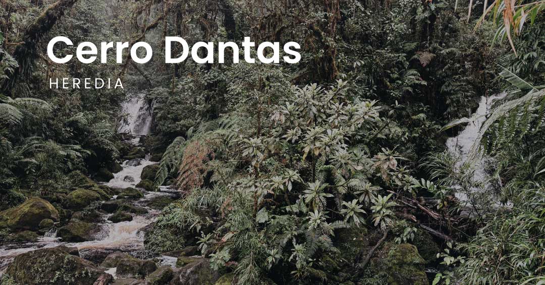 Cerro Dantas: guía para visitar sus senderos y cataratas
