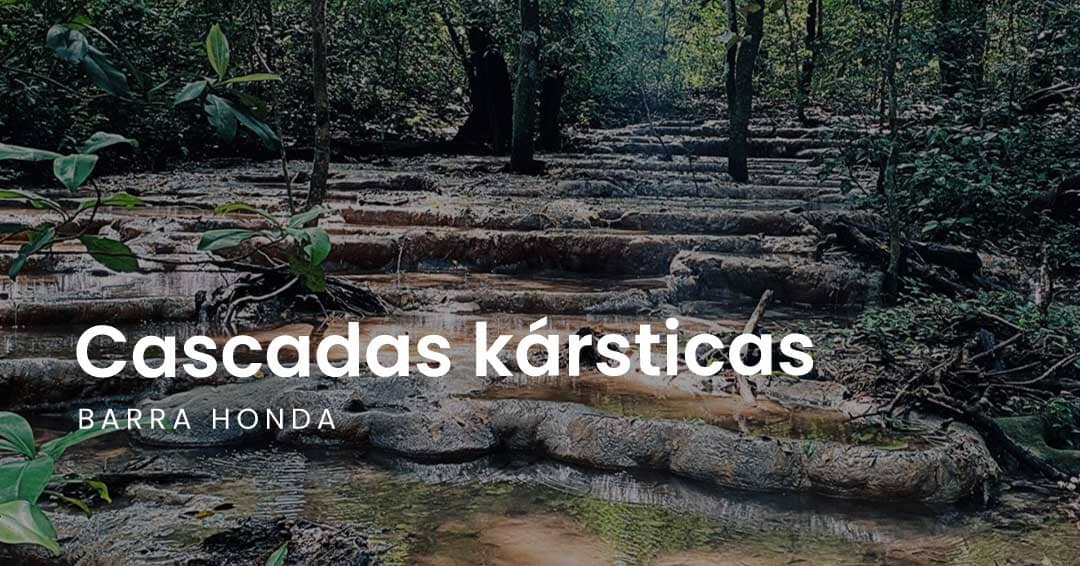 Cascadas kársticas en Barra Honda