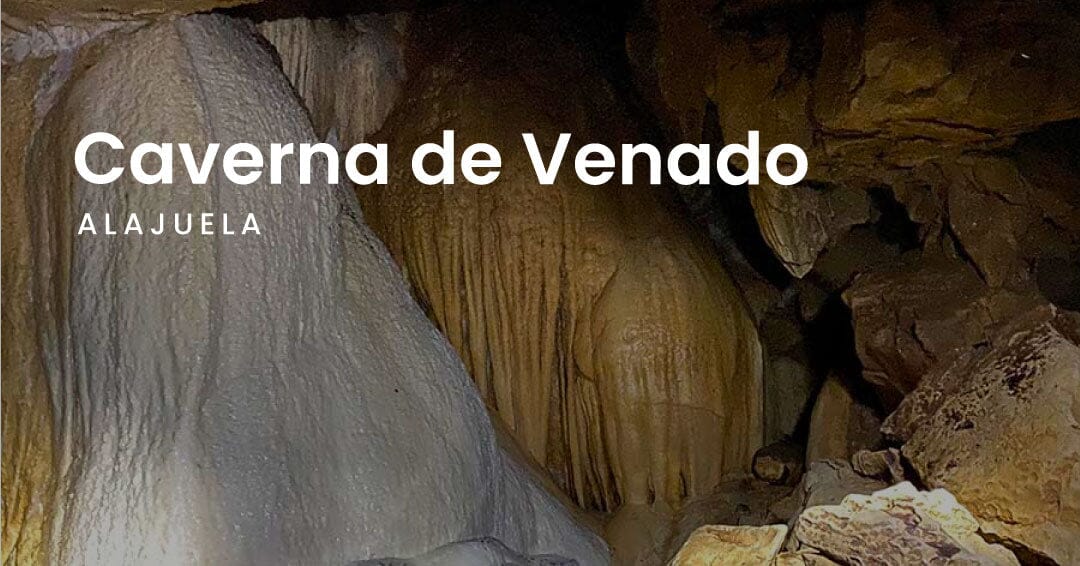 Cavernas de Venado