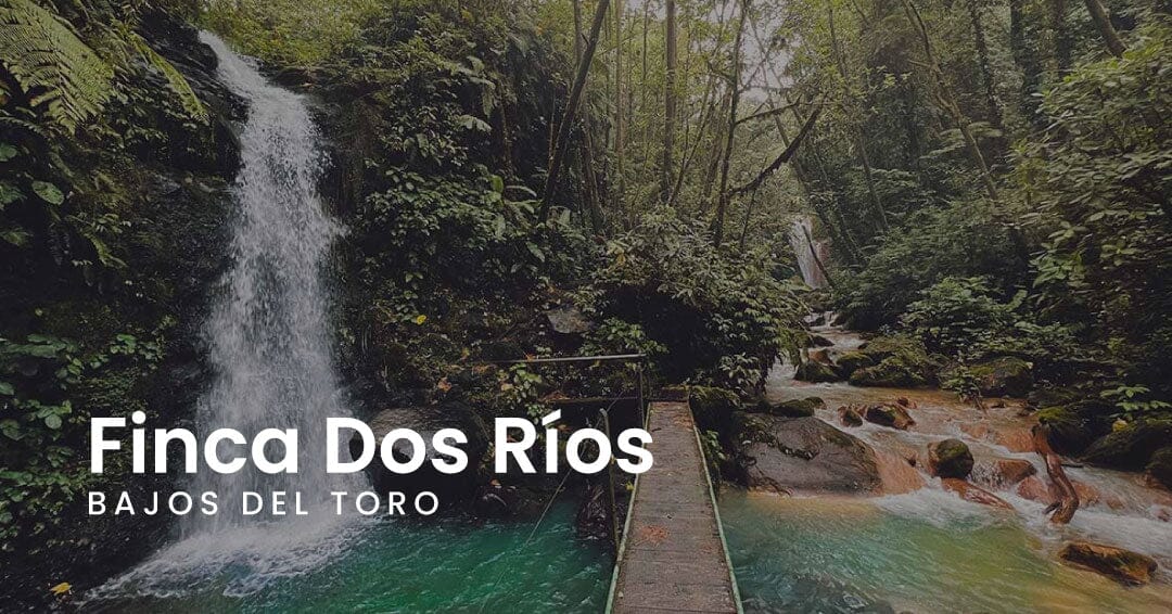 Finca Dos Ríos - Bajos del Toro, Alajuela