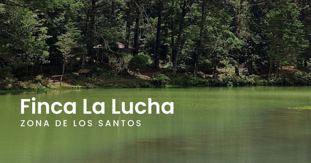 Finca La Lucha