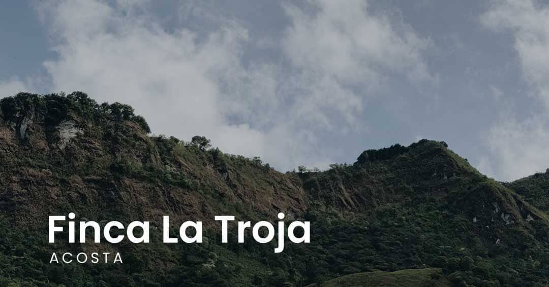 Finca La Troja, Acosta - San José