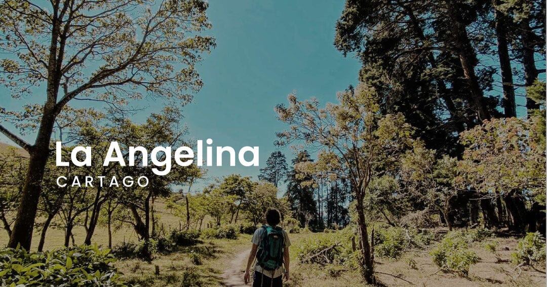 La Angelina - Ochomogo