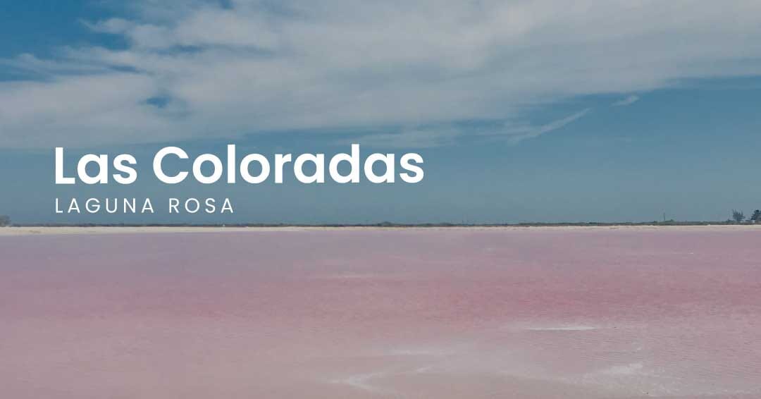 Laguna Rosa • Las Coloradas