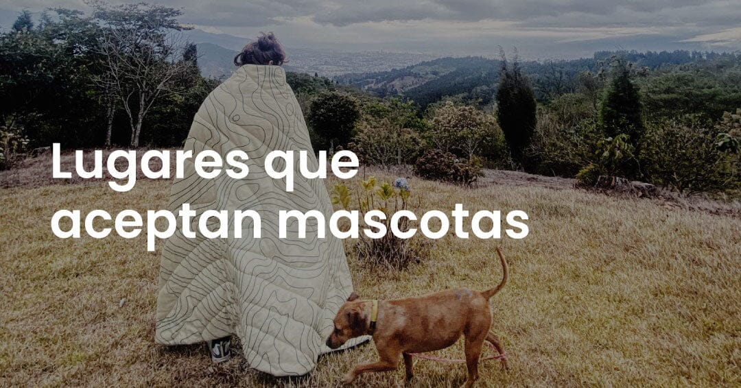 Lugares que aceptan mascotas