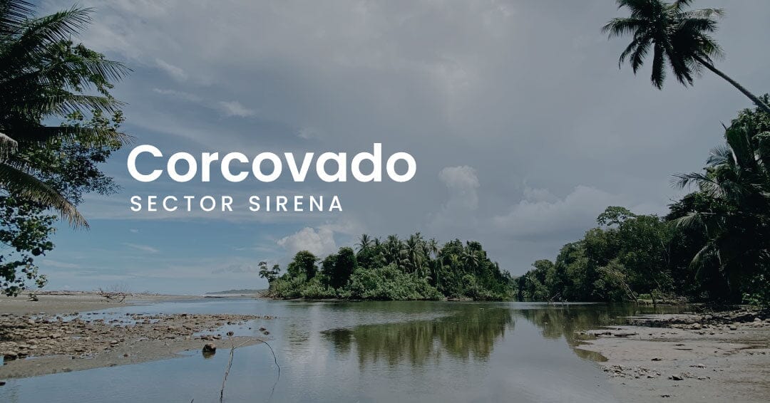 Parque Nacional Corcovado • Sector Sirena