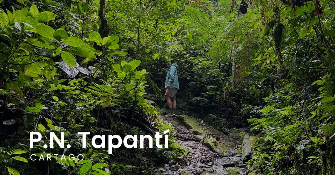 Parque Nacional Tapantí - Cartago – La Fiebre de Viajar