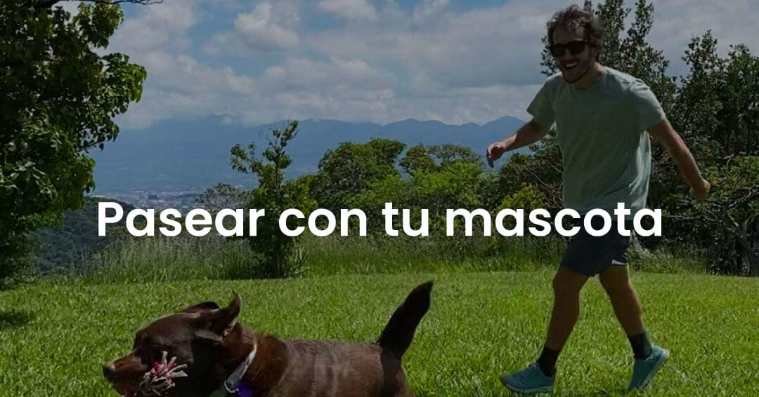 Pasear con tu mascota