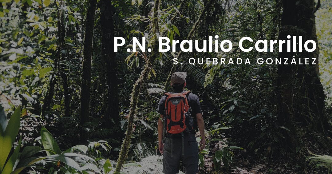 P.N Braulio Carrillo - Sector Quebrada González