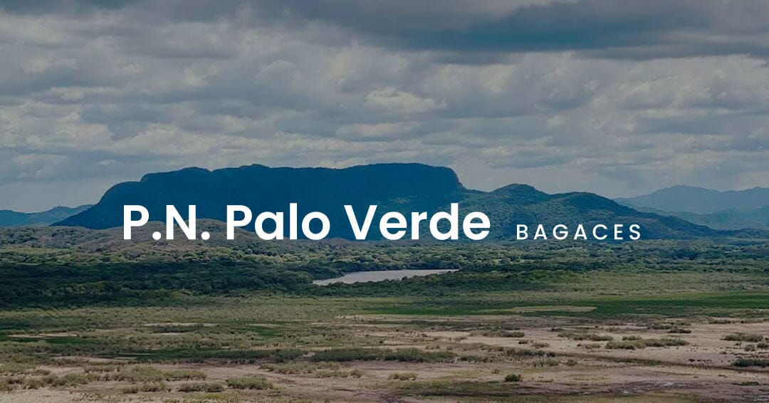 P.N Palo Verde - Bagaces, Guanacaste