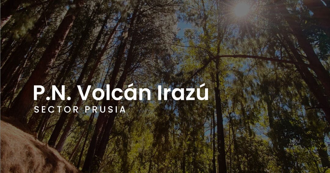 Prusia - P.N. Volcán Irazú