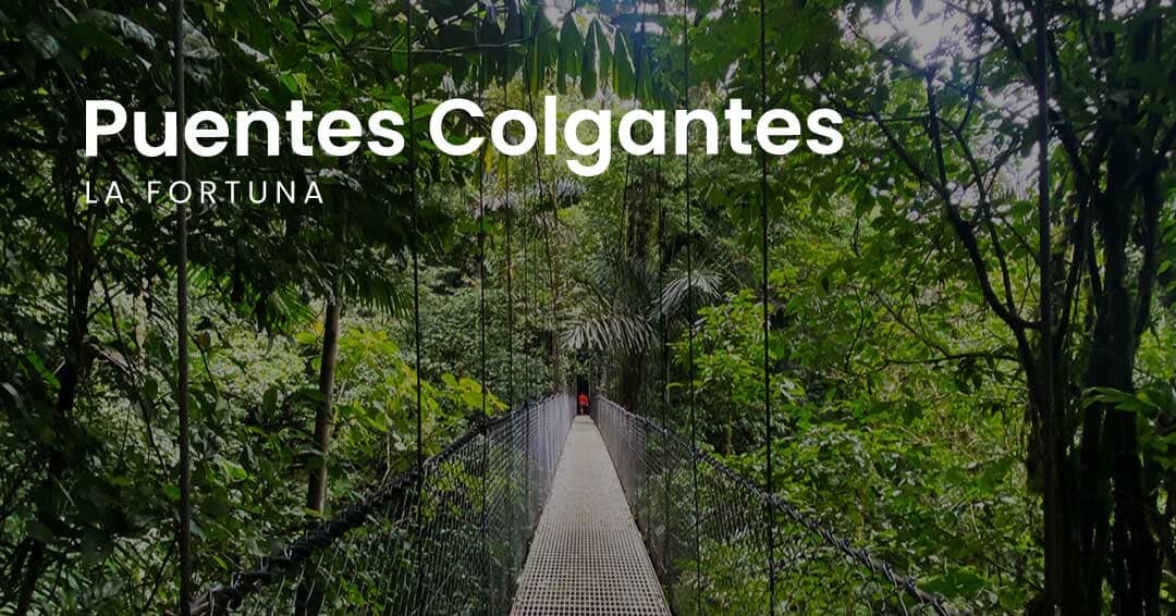 Puentes colgantes en La Fortuna