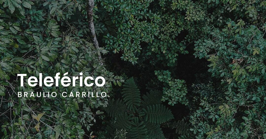 Teleférico Braulio Carrillo - Rainforest Adventures