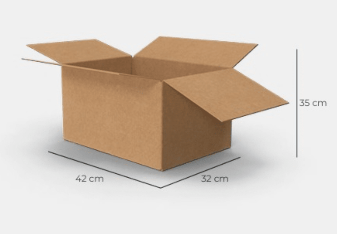 Cajas OC Medianas La Fiebre de Viajar 