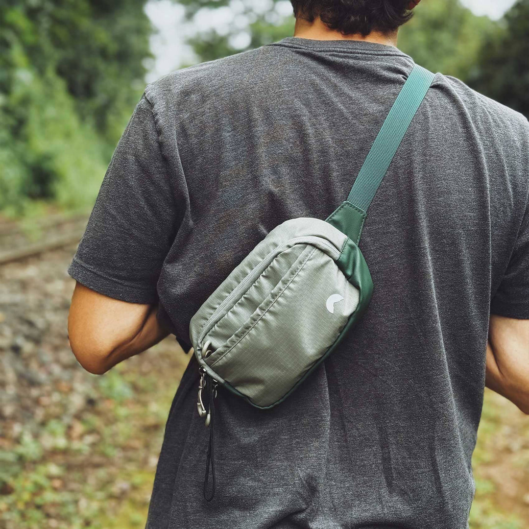 Canguro La Fiebre de Viajar 