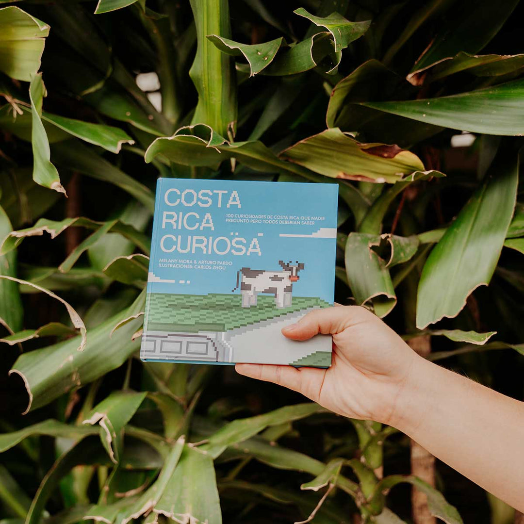 Costa Rica Curiosa La Fiebre de Viajar 