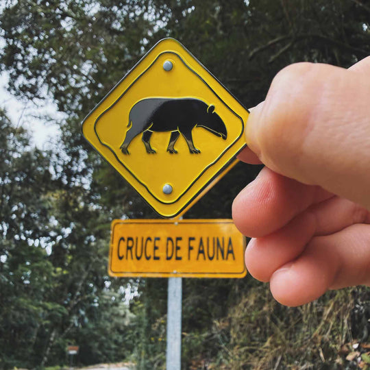 Pin • Freno por las dantas La Fiebre de Viajar 
