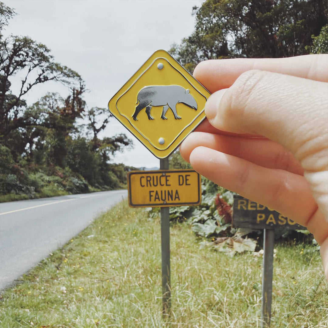 Pin • Freno por las dantas La Fiebre de Viajar 