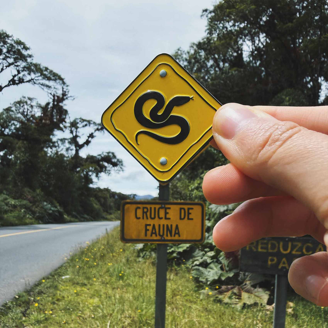 Pin • Freno por las serpientes La Fiebre de Viajar 