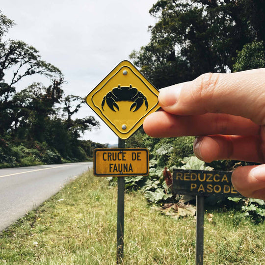 Pin • Freno por los cangrejos La Fiebre de Viajar 