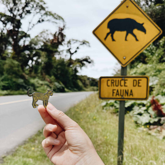 Pin • Manigordo X NANUKA La Fiebre de Viajar 