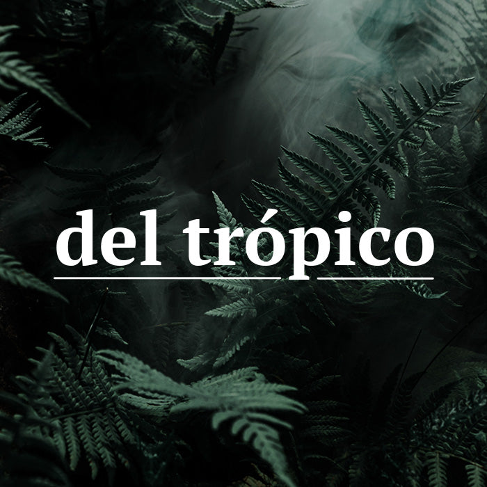 Del Trópico Collection Preset La Fiebre de Viajar 